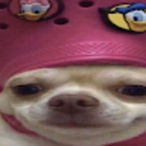 Meet your Posher, Averyy